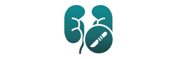 Urology icon