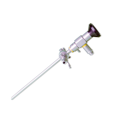 Endoscopy