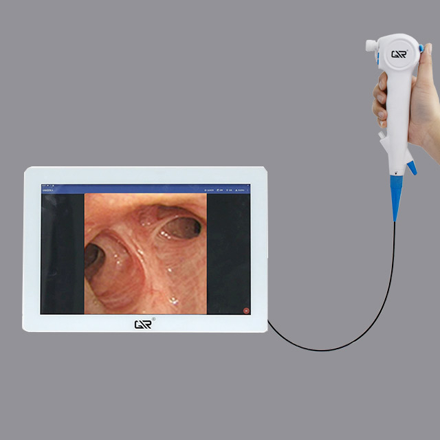 Pad and Flexible Endoscope