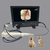 portable Integrated Endoscopic Imaging System for Veterinary Examination