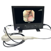 portable Integrated Endoscopic Imaging System for Veterinary Examination