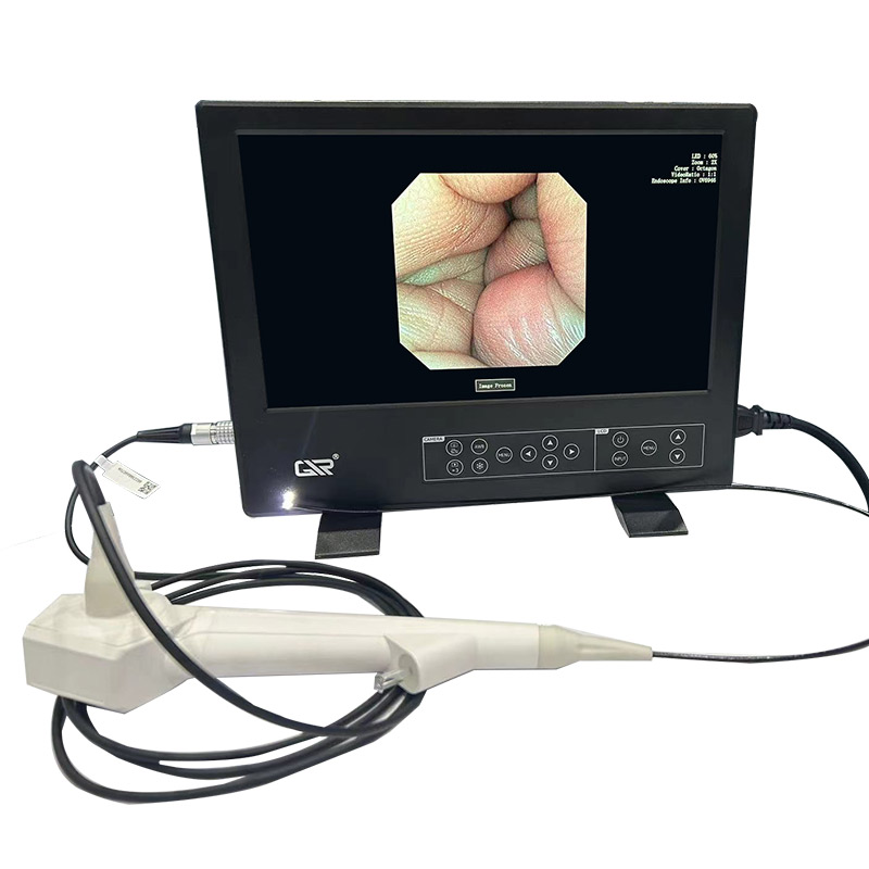 portable Integrated Endoscopic Imaging System for Veterinary Examination
