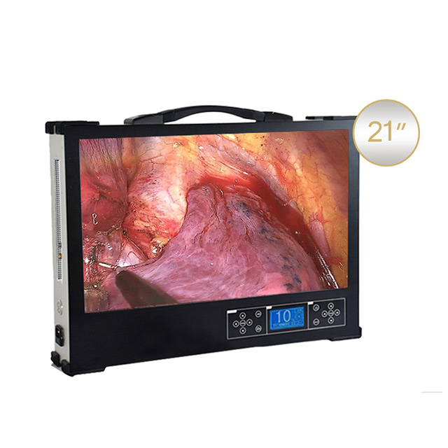 Portable HD 1080P 21-inch medical endoscope