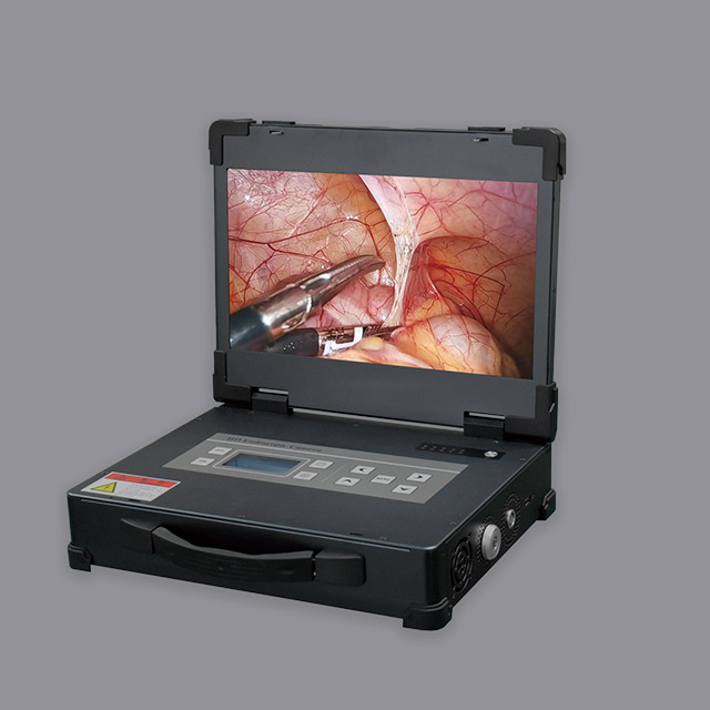 HD-310 Portable All-in-One Endoscope Camera System 