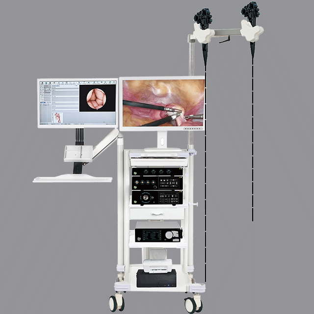 Electronic gastroenteroscopy equipment with workstatio