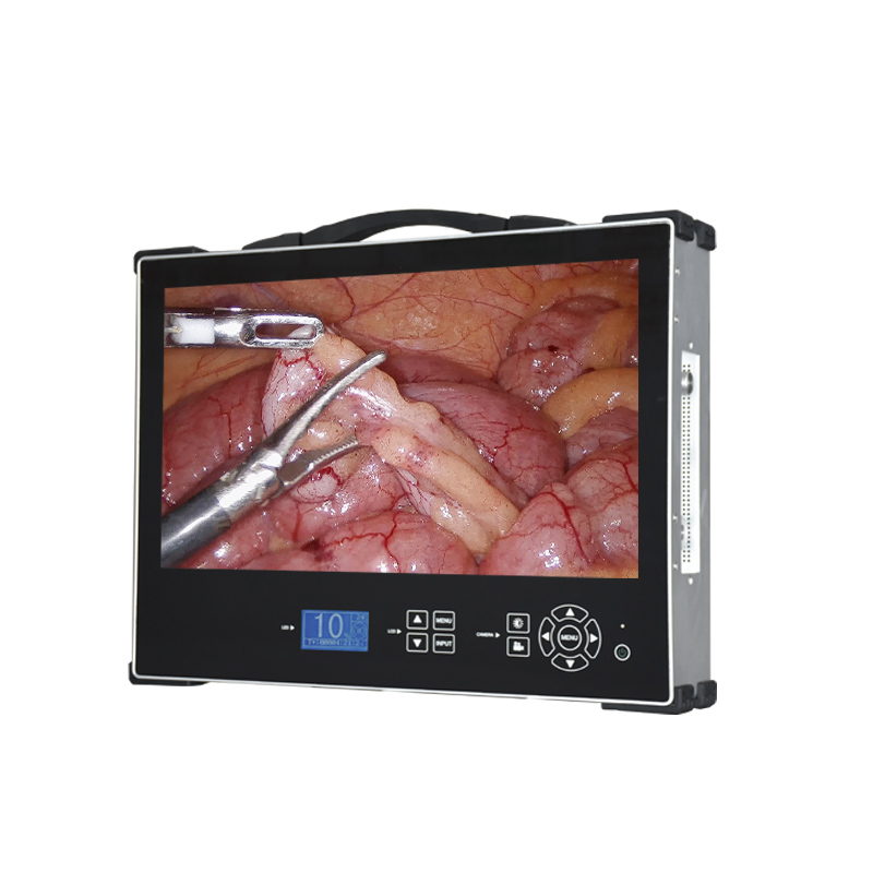 HD 1080P 21-inch Portable Integrated Endoscope Camera Imaging System
