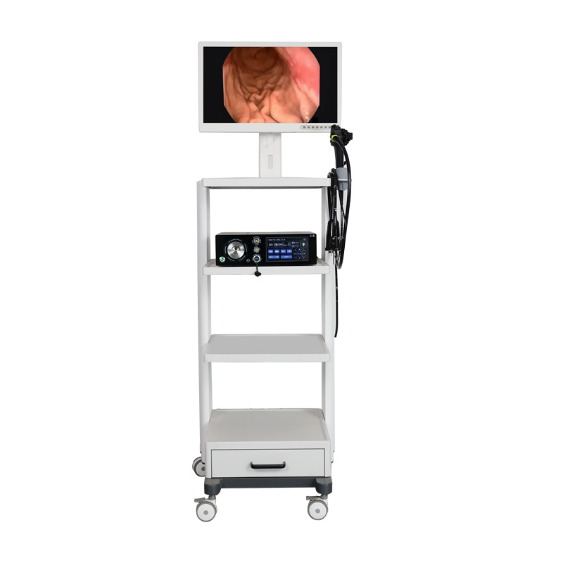 Electronic Gastroenteroscope
