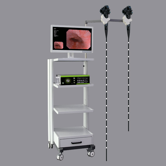 Veterinary Endoscopy System Integrated All-in-One Endoscope for Gastroscope Colonoscope
