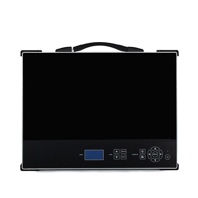 Portable HD1080P 24-inch Medical Endoscope for Hysteroscopy and Laparoscopy