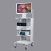 Medical Surgical Endoscopy Camera 4k Endoscope Camera System