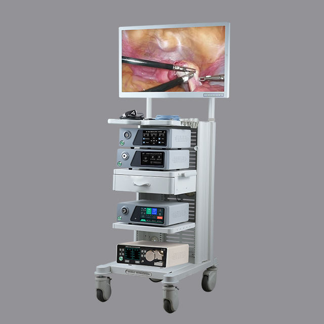 4K UHD Advanced Endoscopic System for ENT