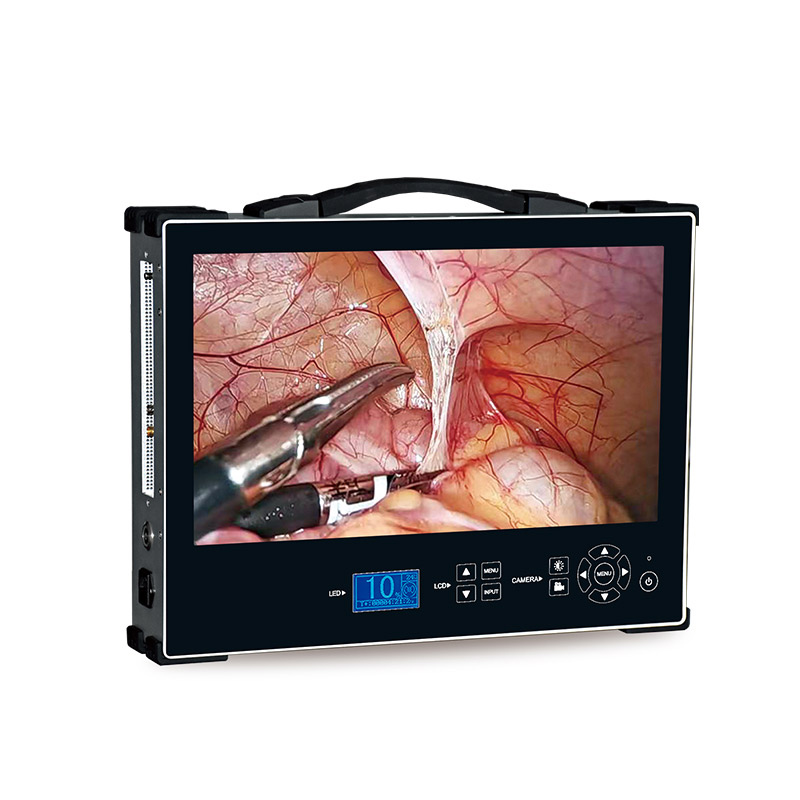 Portable HD 1080P 27-inch medical endoscope