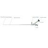 Rigid Ureteroscope