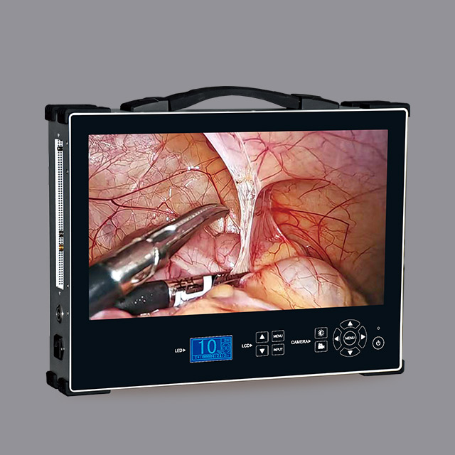 Portable HD 1080P 27-inch medical endoscope