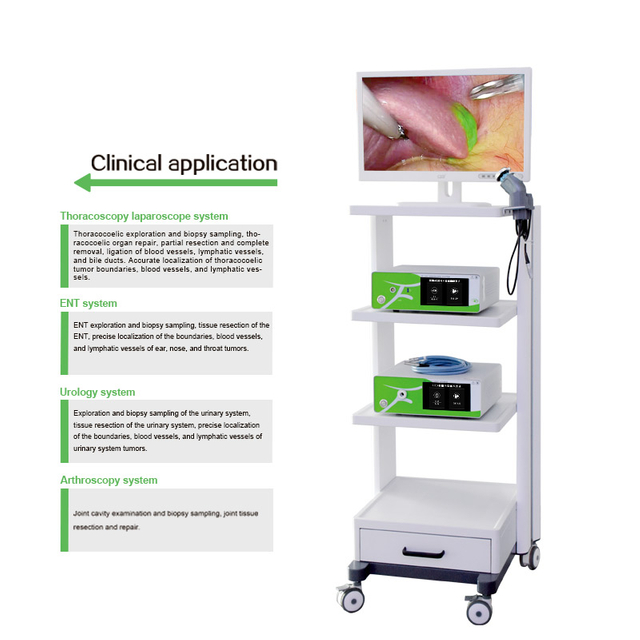  Medical Pet 4K fluorescence Endoscopic camera system