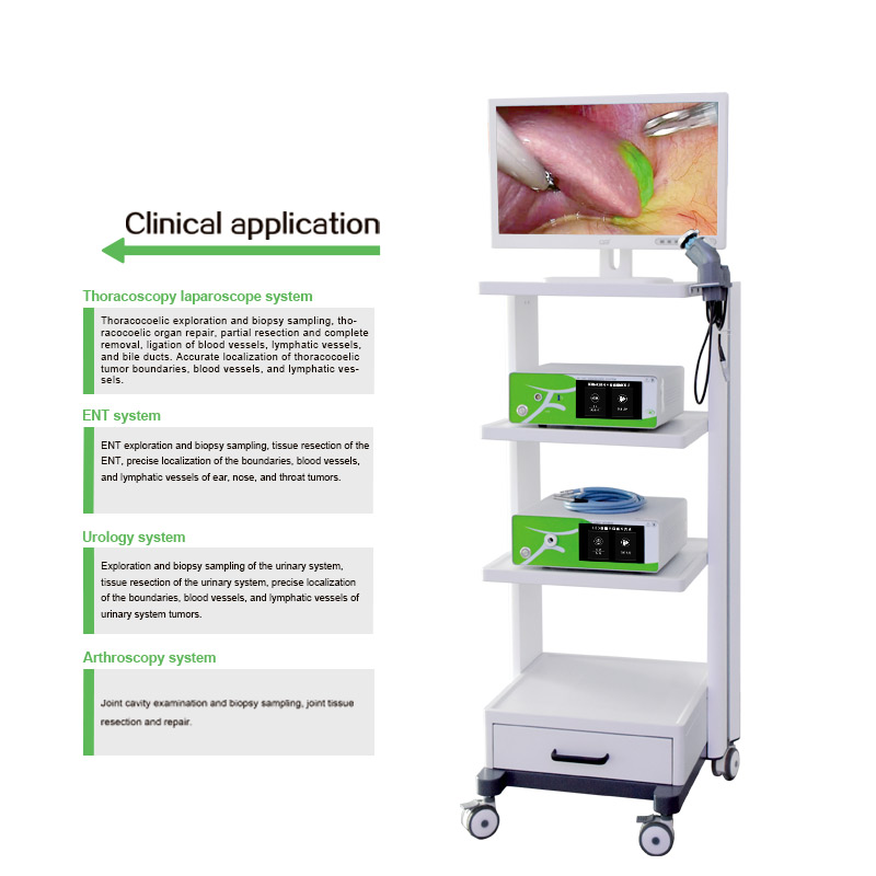  Medical Pet 4K fluorescence Endoscopic camera system