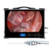 Portable 32 Inch Integrated Endoscope Camera