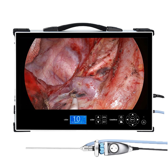 Portable 32 Inch Integrated Endoscope Camera