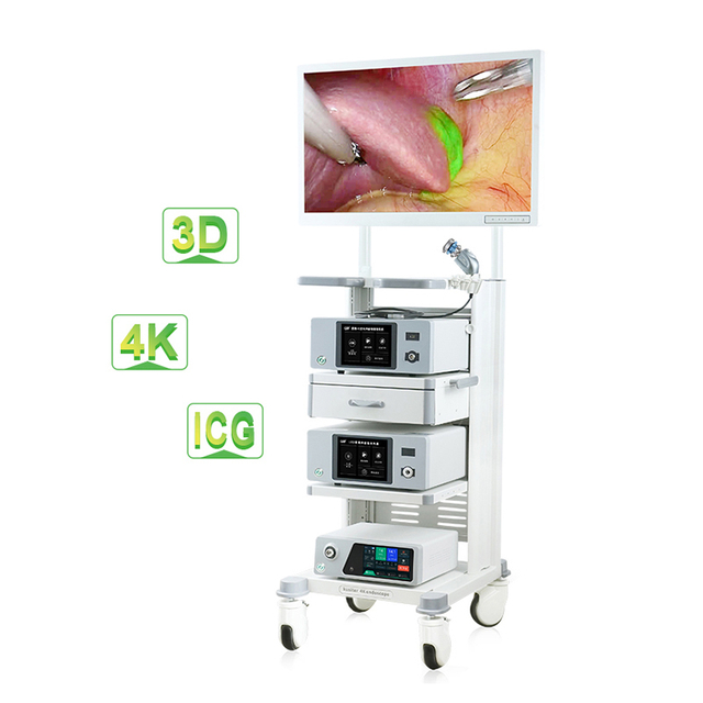  4K Fluorescence Surgical Endoscope Camera Complete Laparoscopy Tower for Tumor Surgery