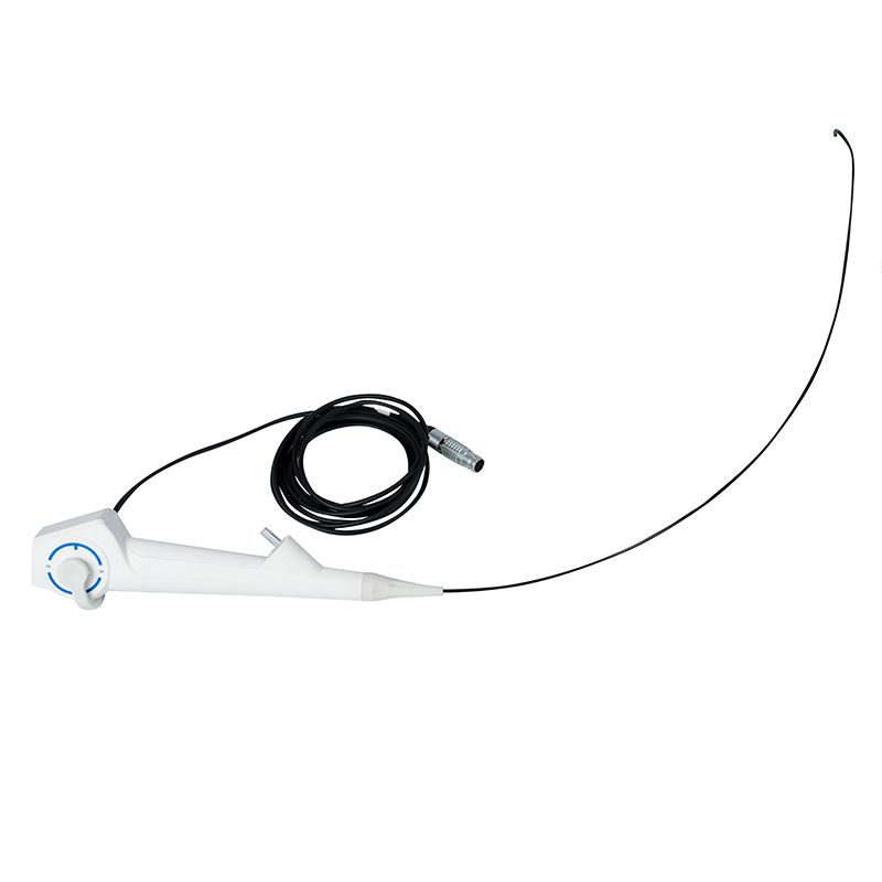 Digital Ureteroscope