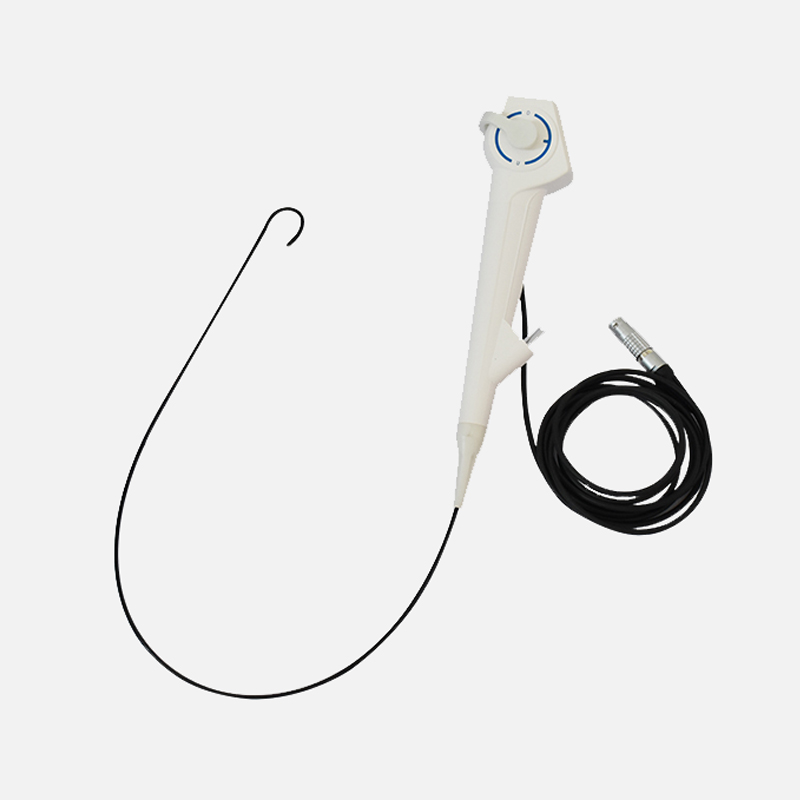 Pad and Flexible Endoscope