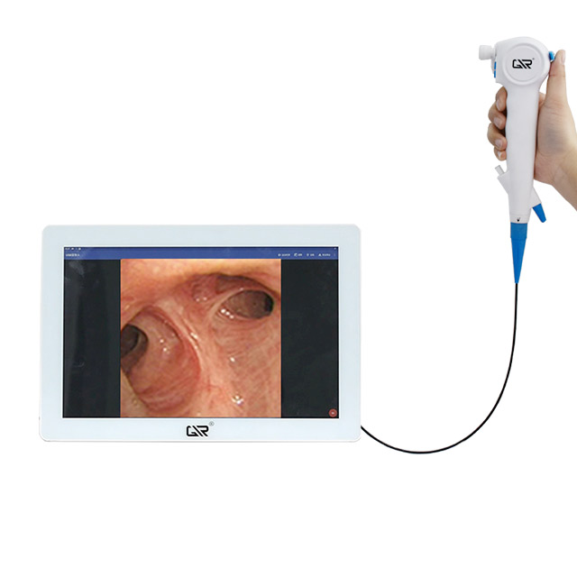 Pad and Flexible Endoscope