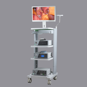 HD-810 1080P Endoscopic Camera System