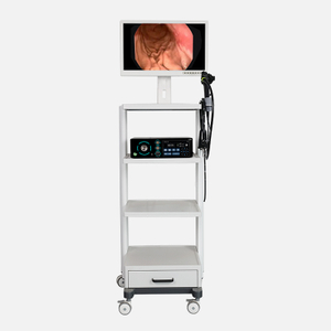 Electronic Gastroscopy