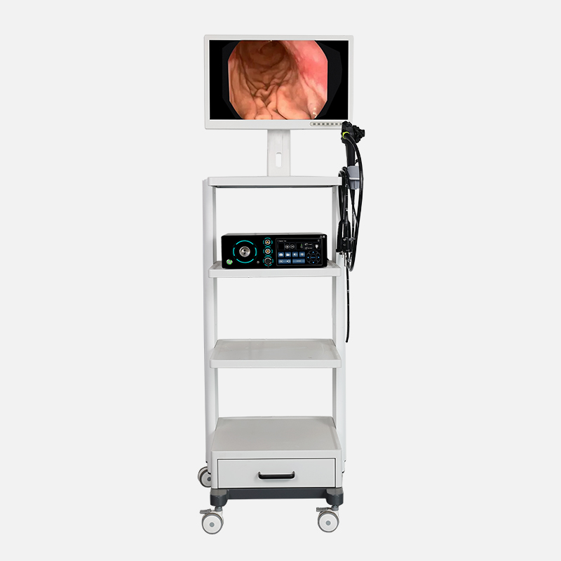 GEV-H1100 High-Definition Electronic Gastroscopy