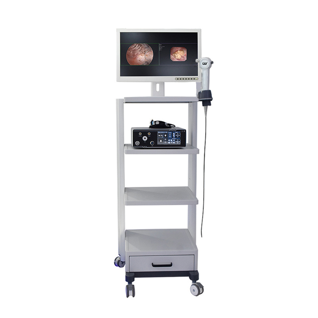 Medical 2 in 1 Integrated Rigid Endoscopy and Flexible Endoscopic System