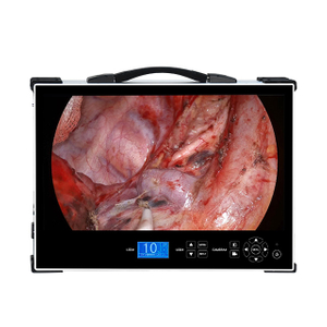 Portable 24 Inch Integrated Endoscope Camera