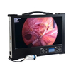 Portable HD 1080P 27-inch medical endoscope