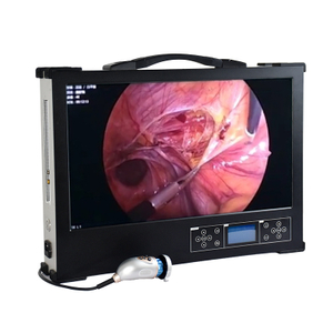 Portable HD 1080P 27-inch medical endoscope