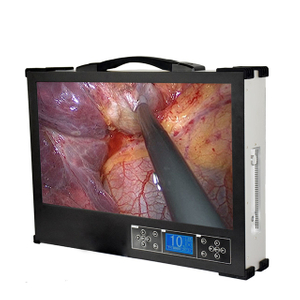 Portable 21 Inch Integrated Endoscope Camera