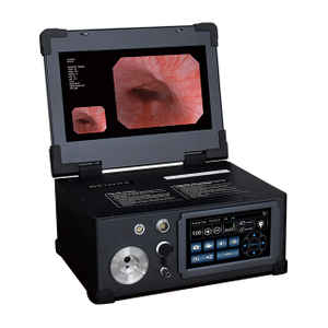 13.3-inch electronic gastroscopy and colonoscopy integrated machine