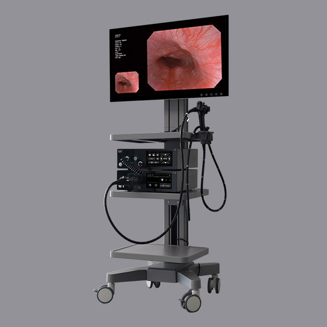 GEV-H1100 High-Definition Electronic Gastroscopy