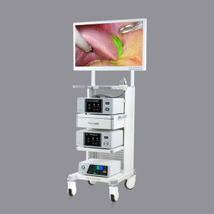 4K Fluorescence Imaging Endoscopy