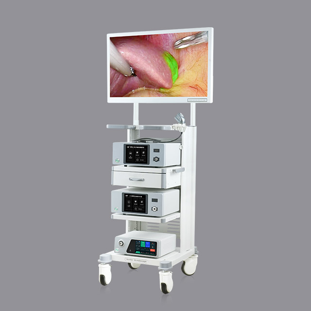 4K Fluorescence Imaging Endoscopy