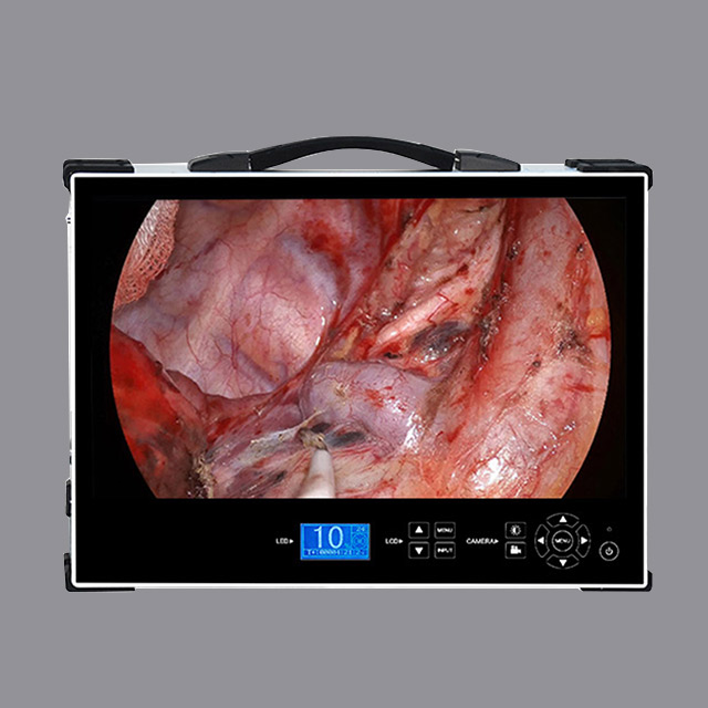 Portable HD1080P 24-inch medical endoscope