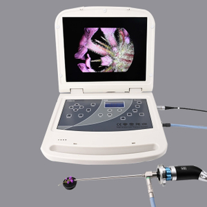  Integrated Endoscopic Imaging Equipment 