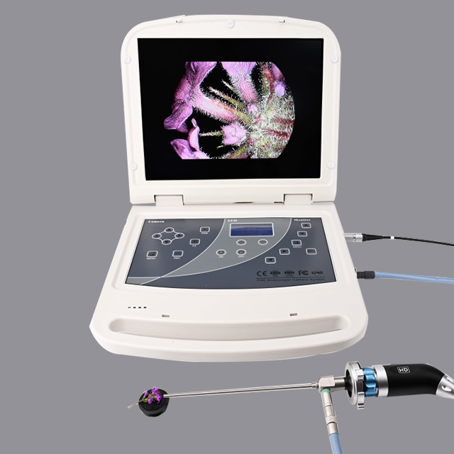  Integrated Endoscopic Imaging Equipment 
