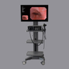High-Definition Integrated gastroscopy and colonoscopy machine