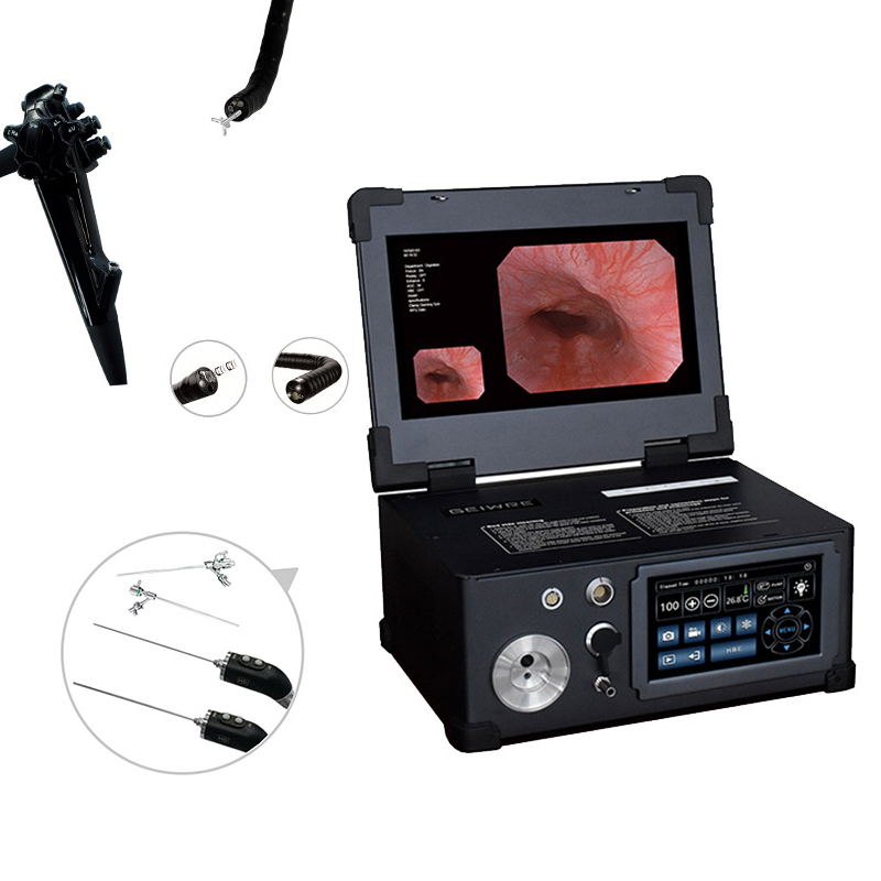Veterinary Pet Endoscopy Series