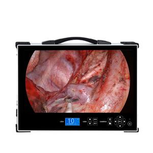 Portable FHD 24 Inch Integrated Endoscope Camera