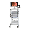 Electronic Gastroscopy
