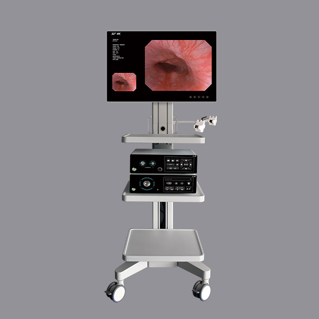 HD Imaging Gastroscopes & Colonoscopes – Enhanced Clarity & Precision