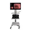 HD Imaging Gastroscopes & Colonoscopes – Enhanced Clarity & Precision