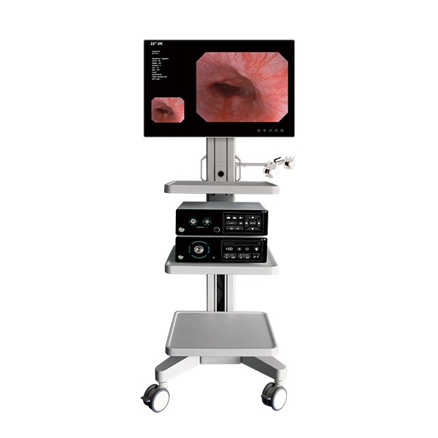 HD Imaging Gastroscopes & Colonoscopes – Enhanced Clarity & Precision