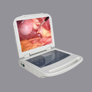 Portable High-Definition USB Endoscope System for Medical Use