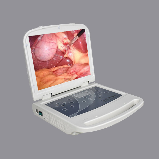 Portable High-Definition USB Endoscope System for Medical Use